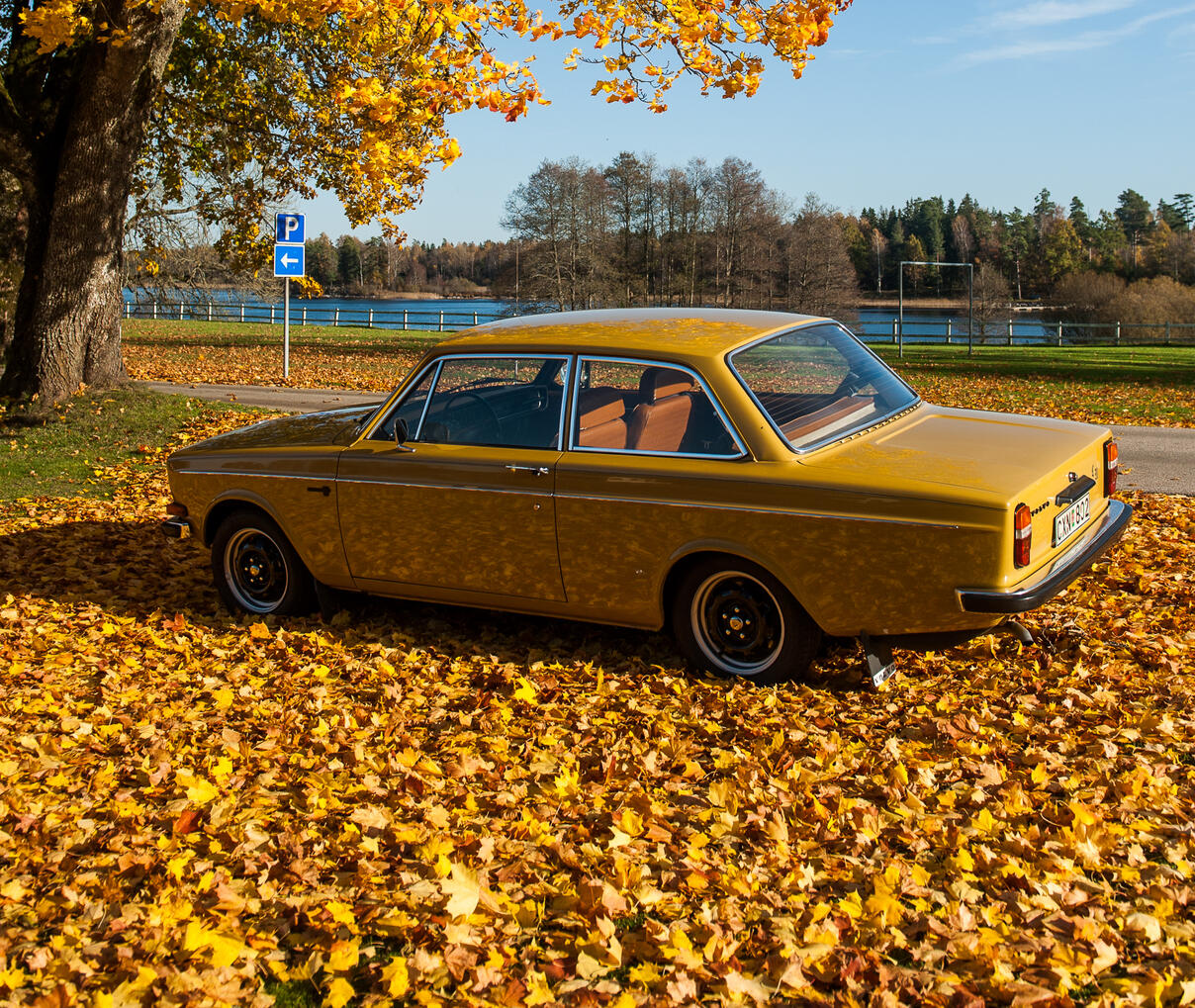 Autumn at Hofsnäs with our Volvo 142.